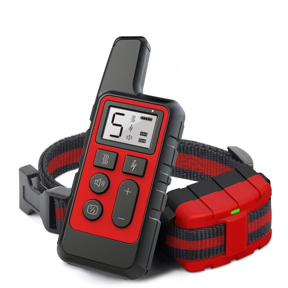 Premium dog outlet training collar